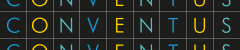 Conventus Solutions Ltd
